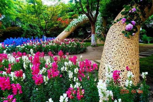 鲜花锦簇迎世界园艺博览会 园艺艺术的全球盛宴