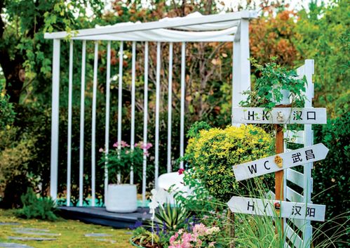 全市征集20组家庭园艺设计方案，报名正式启动