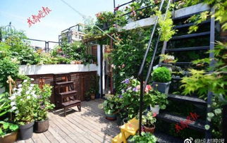 世茂中南璀璨云堤二期叠墅盛大开盘，尽享宁波园艺生活