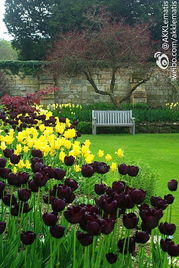 园艺的乐趣与益处