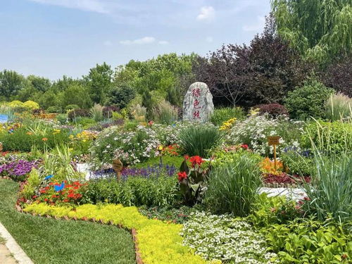 呼和浩特市第四届园林园艺职工职业技能竞赛盛大开幕