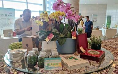 无锡园艺十大品牌出炉！你家阳台的绿意属于谁？