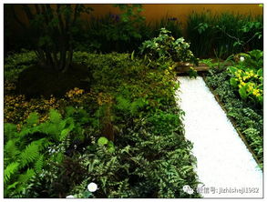 日本园艺展览 自然与匠心的艺术盛宴