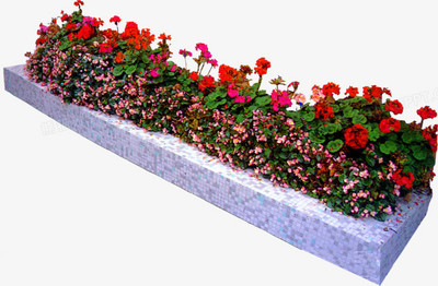 花圃花坛园艺 打造赏心悦目的园艺空间