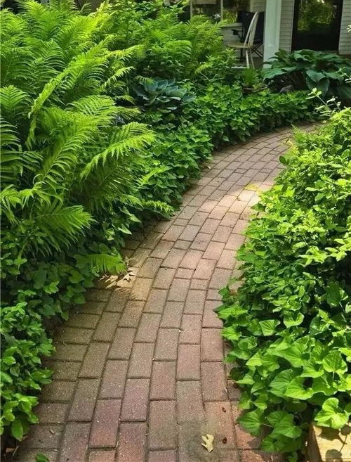 园艺砖 赋予庭院沉淀的美感