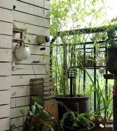 阳台方寸间，心灵绿洲始 零基础打造疗愈花园指南